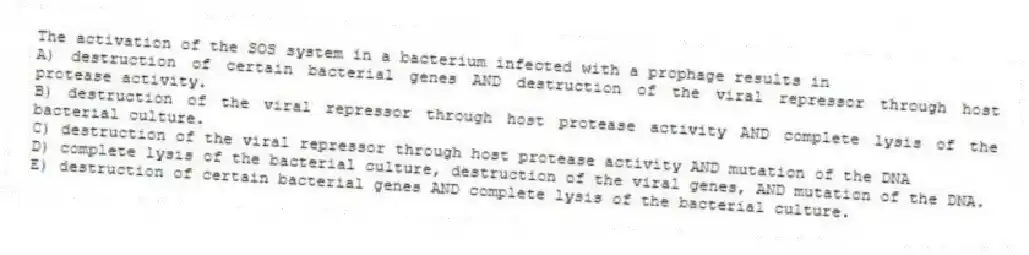 The activation of the SOS system in a bacterium infected with a prophage results in
A) destruction of certain bacterial genes AND destruction of the viral repressor through host protease activity.
B) destruction of the viral repressor through host protease activity AND complete lysis of the bacterial culture.
C) destruction of the viral repressor through host protease activity AND mutation of the DNA
D) complete lysis of the bacterial culture, destruction of the viral genes, AND mutation of the DNA.
E) destruction of certain bacterial genes AND complete lysis of the bacterial culture.