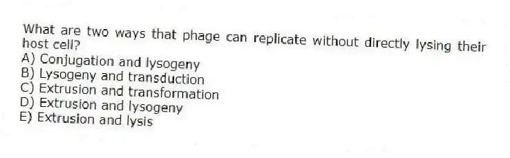 What are two ways that phage can replicate without directly lysing their host cell?
A) Conjugation and lysogeny
B) Lysogeny and transduction
C) Extrusion and transformation
D) Extrusion and lysogeny
E) Extrusion and lysis