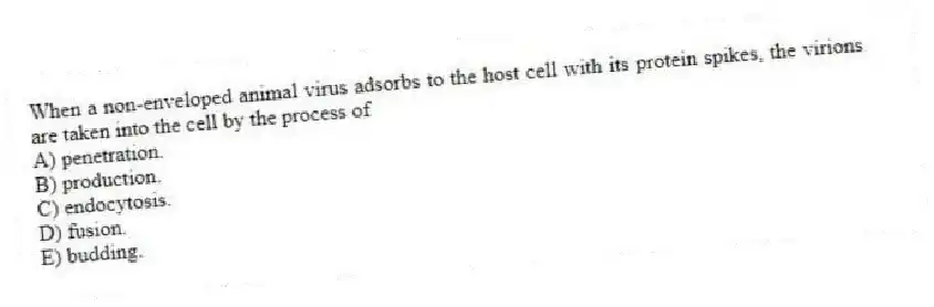 When a non-enveloped animal virus adsorbs to the host cell with its protein spikes, the virions are taken into the cell by the process of
A) penetration.
B) production.
C) endocytosis.
D) fusion.
E) budding.