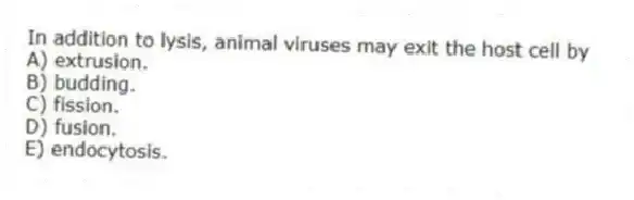 In addition to lysis, animal viruses may exit the host cell by
A) extrusion.
B) budding.
C) fission.
D) fusion.
E) endocytosis.