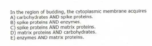 In the region of budding, the cytoplasmic membrane acquires
A) carbohydrates AND spike proteins.
B) spike proteins AND enzymes.
C) spike proteins AND matrix proteins.
D) matrix proteins AND carbohydrates.
E) enzymes AND matrix proteins.