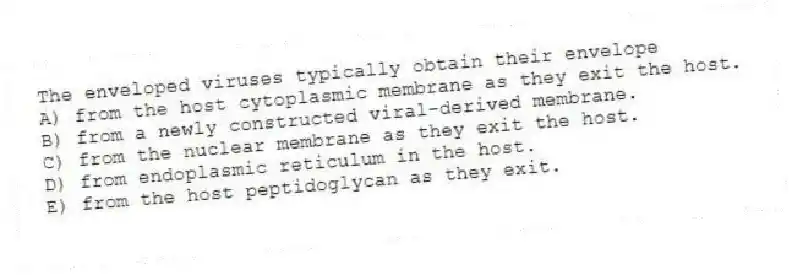 The enveloped viruses typically obtain their envelope
A) from the host cytoplasmic membrane as they exit the host.
B) from a newly constructed viral-derived membrane.
C) from the nuclear membrane as they exit the host.
D) from endoplasmic reticulum in the host.
E) from the host peptidoglycan as they exit.