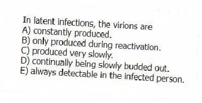In latent infections, the virions are
A) constantly produced.
B) only produced during reactivation.
C) produced very slowly.
D) continually being slowly budded out.
E) always detectable in the infected person.