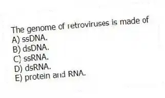 The genome of retroviruses is made of
A) ssDNA.
B) dsDNA.
C) ssRNA.
D) dsRNA.
E) protein and RNA.