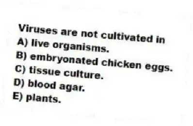 Viruses are not cultivated in
A) live organisms.
B) embryonated chicken eggs.
C) tissue culture.
D) blood agar.
E) plants.