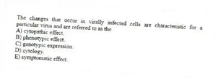 The changes that occur in virally infected cells are characteristic for a particular virus and are referred to as the
A) cytopathic effect.
B) phenotypic effect.
C) genotypic expression.
D) cytology.
E) symptomatic effect.