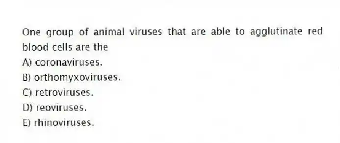 One group of animal viruses that are able to agglutinate red blood cells are the
A) coronaviruses.
B) orthomyxoviruses.
C) retroviruses.
D) reoviruses.
E) rhinoviruses.