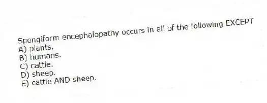 Spongiform encephalopathy occurs in all of the following EXCEPT
A) plants.
B) humans.
C) cattle.
D) sheep.
E) cattle AND sheep.