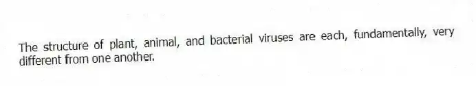 The structure of plant, animal, and bacterial viruses are each, fundamentally, very different from one another.