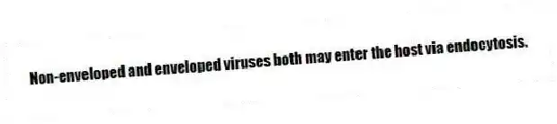 Non-enveloped and enveloped viruses both may enter the host via endocytosis.