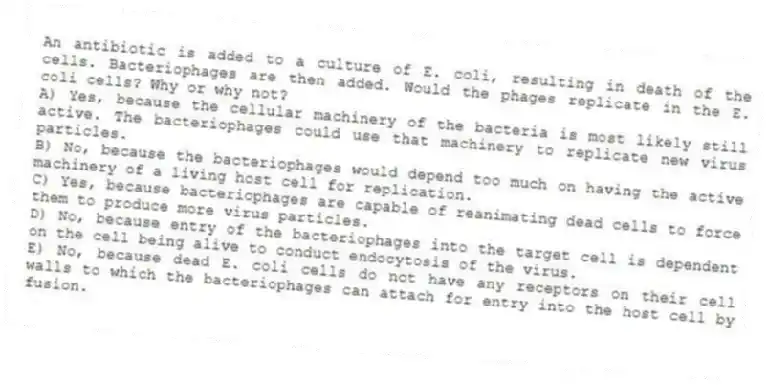 An antibiotic is added to a culture of E. coli, resulting in death of the cells. Bacteriophages are then added. Would the phages replicate in the E. coli cells? Why or why not?
A) Yes, because the cellular machinery of the bacteria is most likely still active. The bacteriophages could use that machinery to replicate new virus particles.
B) No, because the bacteriophages would depend too much on having the active machinery of a living host cell for replication.
C) Yes, because bacteriophages are capable of reanimating dead cells to force them to produce more virus particles.
D) No, because entry of the bacteriophages into the target cell is dependent on the cell being alive to conduct endocytosis of the virus.
E) No, because dead E. coli cells do not have any receptors on their cell walls to which the bacteriophages can attach for entry into the host cell by fusion.