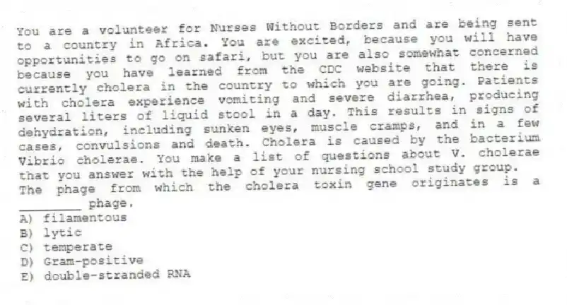 You are a volunteer for Nurses Without Borders and are being sent to a country in Africa. You are excited, because you will have opportunities to go on safari, but you are also somewhat concerned because you have learned from the CDC website that there is currently cholera in the country to which you are going. Patients with cholera experience vomiting and severe diarrhea, producing several liters of liquid stool in a day. This results in signs of dehydration, including sunken eyes, muscle cramps, and in a few cases, convulsions and death. Cholera is caused by the bacterium Vibrio cholerae. You make a list of questions about V. cholerae that you answer with the help of your nursing school study group.
-The phage from which the cholera toxin gene originates is a ________ phage.
A) filamentous
B) lytic
C) temperate
D) Gram-positive
E) double-stranded RNA