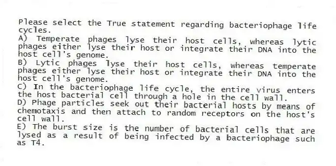 Please select the True statement regarding bacteriophage life cycles.
A) Temperate phages lyse their host cells, whereas lytic phages either lyse their host or integrate their DNA into the host cell's genome.
B) Lytic phages lyse their host cells, whereas temperate phages either lyse their host or integrate their DNA into the host cell's genome.
C) In the bacteriophage life cycle, the entire virus enters the host bacterial cell through a hole in the cell wall.
D) Phage particles seek out their bacterial hosts by means of chemotaxis and then attach to random receptors on the host's cell wall.
E) The burst size is the number of bacterial cells that are lysed as a result of being infected by a bacteriophage such as T4.