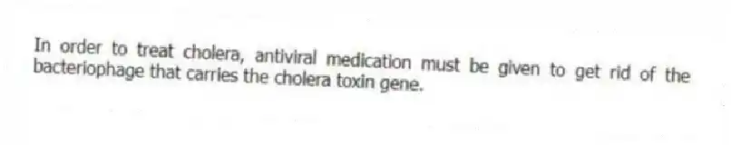 In order to treat cholera, antiviral medication must be given to get rid of the bacteriophage that carries the cholera toxin gene.