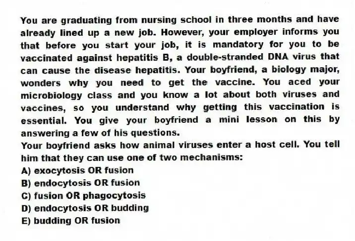 You are graduating from nursing school in three months and have already lined up a new job. However, your employer informs you that before you start your job, it is mandatory for you to be vaccinated against hepatitis B, a double-stranded DNA virus that can cause the disease hepatitis. Your boyfriend, a biology major, wonders why you need to get the vaccine. You aced your microbiology class and you know a lot about both viruses and vaccines, so you understand why getting this vaccination is essential. You give your boyfriend a mini lesson on this by answering a few of his questions.
-Your boyfriend asks how animal viruses enter a host cell. You tell him that they can use one of two mechanisms:
A) exocytosis OR fusion
B) endocytosis OR fusion
C) fusion OR phagocytosis
D) endocytosis OR budding
E) budding OR fusion