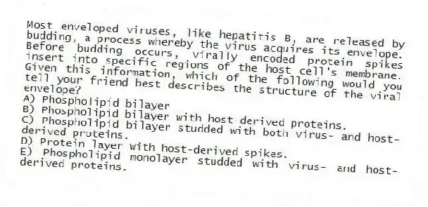 Most enveloped viruses, like hepatitis B, are released by budding, a process whereby the virus acquires its envelope. Before budding occurs, virally encoded protein spikes insert into specific regions of the host cell's membrane. Given this information, which of the following would you tell your friend best describes the structure of the viral envelope?
A) Phospholipid bilayer
B) Phospholipid bilayer with host-derived proteins.
C) Phospholipid bilayer studded with both virus- and host-derived proteins.
D) Protein layer with host-derived spikes.
E) Phospholipid monolayer studded with virus- and host-derived proteins.