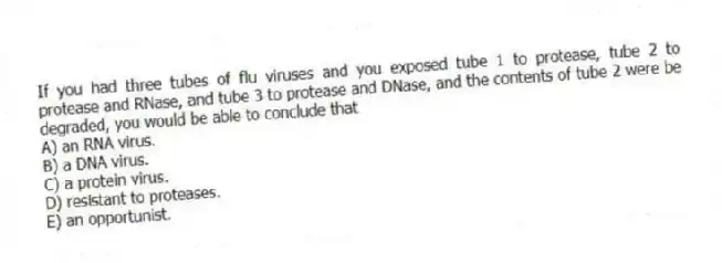 If you had three tubes of flu viruses and you exposed tube 1 to protease, tube 2 to protease and RNase, and tube 3 to protease and DNase, and the contents of tube 2 were be degraded, you would be able to conclude that
A) an RNA virus.
B) a DNA virus.
C) a protein virus.
D) resistant to proteases.
E) an opportunist.
