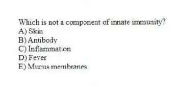 Which is not a component of innate immunity?
A) Skin
B) Antibody
C) Inflammation
D) Fever
E) Mucus membranes