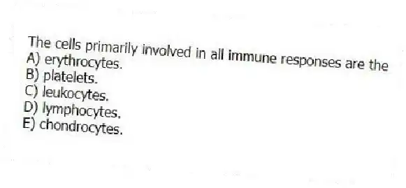 The cells primarily involved in all immune responses are the
A) erythrocytes.
B) platelets.
C) leukocytes.
D) lymphocytes.
E) chondrocytes.