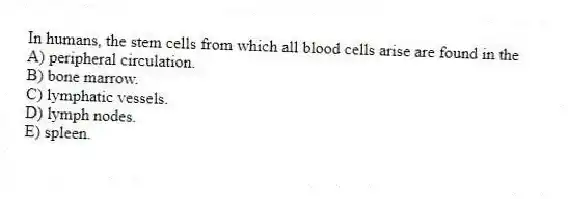 In humans, the stem cells from which all blood cells arise are found in the
A) peripheral circulation.
B) bone marrow.
C) lymphatic vessels.
D) lymph nodes.
E) spleen.