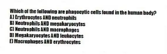 Which of the following are phagocytic cells found in the human body?
A) Erythrocytes AND neutrophils
B) Neutrophils AND megakaryocytes
C) Neutrophils AND macrophages
D) Megakaryocytes AND leukocytes
E) Macrophages AND erythrocytes