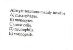 Allergic reactions mainly involve
A) macrophages.
B) monocytes.
C) mast cells.
D) neutrophils.
E) eosinophils.