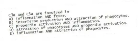 C3a and C5a are involved in
A) inflammation AND fever.
B) interferon production AND attraction of phagocytes.
C) properdin activation AND inflammation.
D) attraction of phagocytes AND properdin activation.
E) inflammation AND attraction of phagocytes.