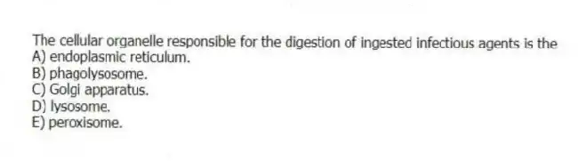 The cellular organelle responsible for the digestion of ingested infectious agents is the
A) endoplasmic reticulum.
B) phagolysosome.
C) Golgi apparatus.
D) lysosome.
E) peroxisome.