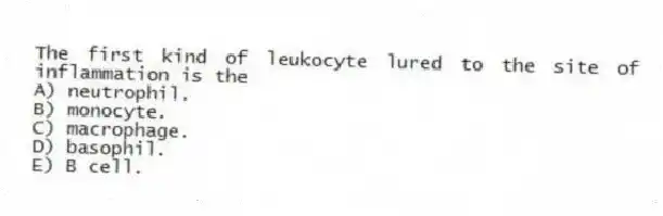 The first kind of leukocyte lured to the site of inflammation is the
A) neutrophil.
B) monocyte.
C) macrophage.
D) basophil.
E) B cell.