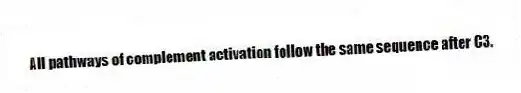 All pathways of complement activation follow the same sequence after C3.