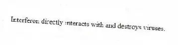 Interferon directly interacts with and destroys viruses.