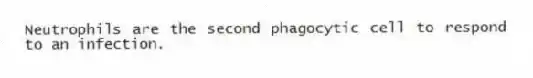 Neutrophils are the second phagocytic cell to respond to an infection.