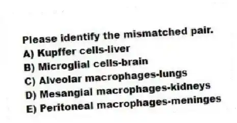 Please identify the mismatched pair.
A) Kupffer cells-liver
B) Microglial cells-brain
C) Alveolar macrophages-lungs
D) Mesangial macrophages-kidneys
E) Peritoneal macrophages-meninges