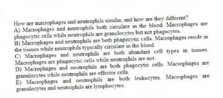 How are macrophages and neutrophils similar, and how are they different?
A) Macrophages and neutrophils both circulate in the blood. Macrophages are phagocytic cells while neutrophils are granulocytes but not phagocytes.
B) Macrophages and neutrophils are both phagocytic cells. Macrophages reside in the tissues while neutrophils typically circulate in the blood.
C) Macrophages and neutrophils are both abundant cell types in tissues. Macrophages are phagocytic cells while neutrophils are not.
D) Macrophages and neutrophils are both phagocytic cells. Macrophages are granulocytes while neutrophils are effector cells.
E) Macrophages and neutrophils are both leukocytes. Macrophages are granulocytes and neutrophils are lymphocytes.
