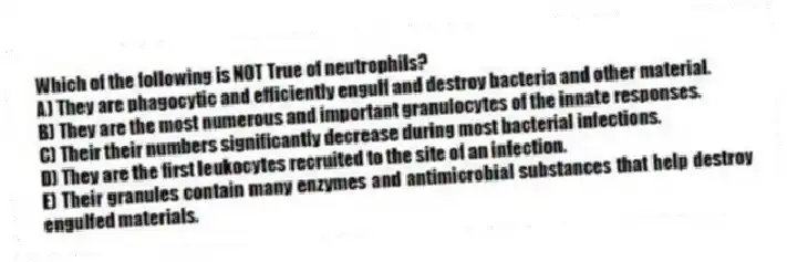 Which of the following is NOT True of neutrophils?
A) They are phagocytic and efficiently engulf and destroy bacteria and other material.
B) They are the most numerous and important granulocytes of the innate responses.
C) Their their numbers significantly decrease during most bacterial infections.
D) They are the first leukocytes recruited to the site of an infection.
E) Their granules contain many enzymes and antimicrobial substances that help destroy engulfed materials.