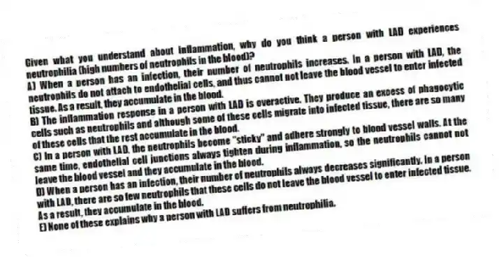 Given what you understand about inflammation, why do you think a person with LAD experiences neutrophilia (high numbers of neutrophils in the blood)?
A) When a person has an infection, their number of neutrophils increases. In a person with LAD, the neutrophils do not attach to endothelial cells, and thus cannot not leave the blood vessel to enter infected tissue. As a result, they accumulate in the blood.
B) The inflammation response in a person with LAD is overactive. They produce an excess of phagocytic cells such as neutrophils and although some of these cells migrate into infected tissue, there are so many of these cells that the rest accumulate in the blood.
C) In a person with LAD, the neutrophils become "sticky" and adhere strongly to blood vessel walls. At the same time, endothelial cell junctions always tighten during inflammation, so the neutrophils cannot not leave the blood vessel and they accumulate in the blood.
D) When a person has an infection, their number of neutrophils always decreases significantly. In a person with LAD, there are so few neutrophils that these cells do not leave the blood vessel to enter infected tissue. As a result, they accumulate in the blood.
E) None of these explains why a person with LAD suffers from neutrophilia.