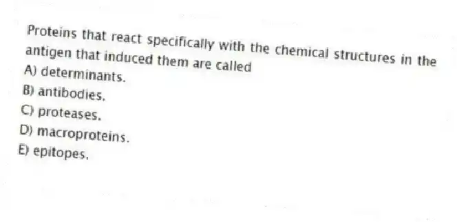 Proteins that react specifically with the chemical structures in the antigen that induced them are called
A) determinants.
B) antibodies.
C) proteases.
D) macroproteins.
E) epitopes.