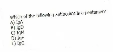 Which of the following antibodies is a pentamer?
A) IgA
B) IgD
C) IgM
D) IgE
E) IgG