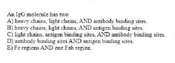An IgG molecule has two
A) heavy chains, light chains, AND antibody binding sites.
B) heavy chains, light chains, AND antigen binding sites.
C) light chains, antigen binding sites, AND antibody binding sites.
D) antibody binding sites AND antigen binding sites.
E) Fc regions AND one Fab region.