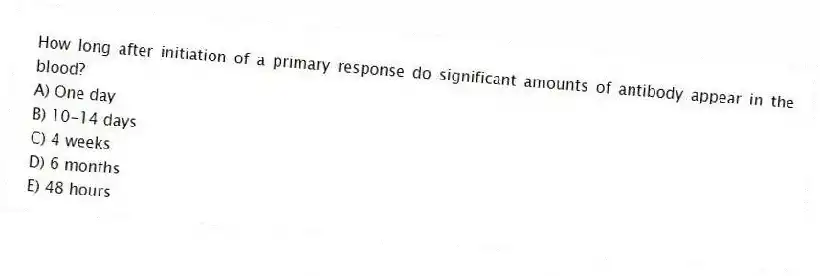 How long after initiation of a primary response do significant amounts of antibody appear in the blood?
A) One day
B) 10-14 days
C) 4 weeks
D) 6 months
E) 48 hours