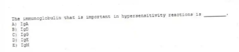 The immunoglobulin that is important in hypersensitivity reactions is ________.
A) IgA
B) IgD
C) IgG
D) IgE
E) IgM