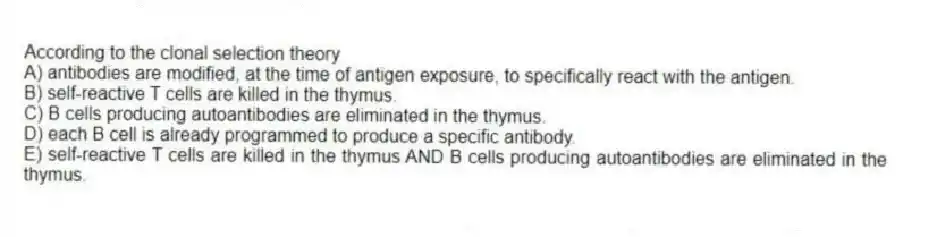 According to the clonal selection theory
A) antibodies are modified, at the time of antigen exposure, to specifically react with the antigen.
B) self-reactive T cells are killed in the thymus.
C) B cells producing autoantibodies are eliminated in the thymus.
D) each B cell is already programmed to produce a specific antibody.
E) self-reactive T cells are killed in the thymus AND B cells producing autoantibodies are eliminated in the thymus.