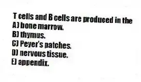 T cells and B cells are produced in the
A) bone marrow.
B) thymus.
C) Peyer's patches.
D) nervous tissue.
E) appendix.