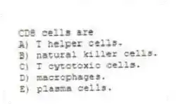 CD8 cells are
A) T helper cells.
B) natural killer cells.
C) T cytotoxic cells.
D) macrophages.
E) plasma cells.