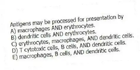 Antigens may be processed for presentation by
A) macrophages AND erythrocytes.
B) dendritic cells AND erythrocytes.
C) erythrocytes, macrophages, AND dendritic cells.
D) T cytotoxic cells, B cells, AND dendritic cells.
E) macrophages, B cells, AND dendritic cells.