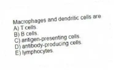 Macrophages and dendritic cells are
A) T cells.
B) B cells.
C) antigen-presenting cells.
D) antibody-producing cells.
E) lymphocytes.