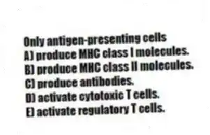 Only antigen-presenting cells
A) produce MHC class I molecules.
B) produce MHC class II molecules.
C) produce antibodies.
D) activate cytotoxic T cells.
E) activate regulatory T cells.