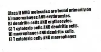 Class II MHC molecules are found primarily on
A) macrophages AND erythrocytes.
B) dendritic cells AND erythrocytes.
C) T cytotoxic cells AND dendritic cells.
D) macrophages AND dendritic cells.
E) T cytotoxic cells AND macrophages