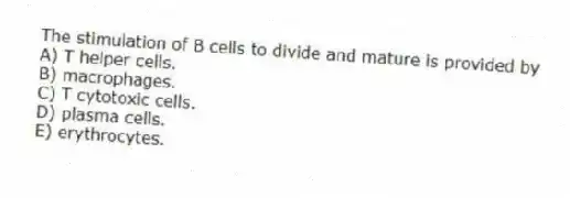 The stimulation of B cells to divide and mature is provided by
A) T helper cells.
B) macrophages.
C) T cytotoxic cells.
D) plasma cells.
E) erythrocytes.