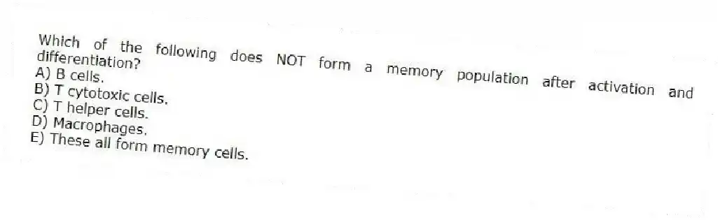 Which of the following does NOT form a memory population after activation and differentiation?
A) B cells.
B) T cytotoxic cells.
C) T helper cells.
D) Macrophages.
E) These all form memory cells.